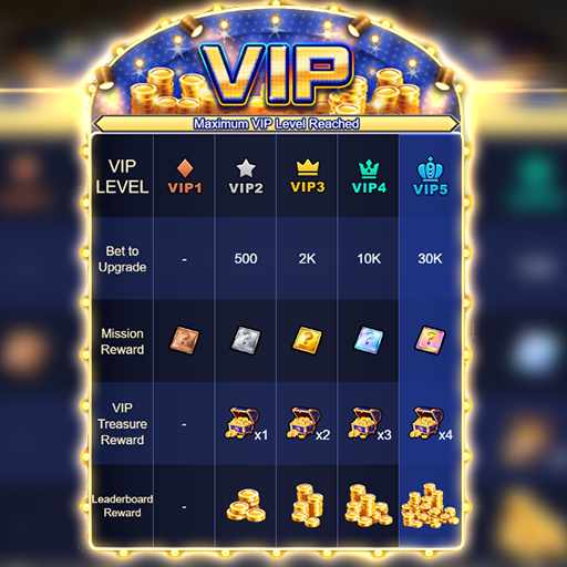 VIP PROGRAM